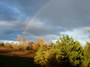 somewhere over the rainbow in my OWN BACKYARD!